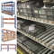 ODM Blue Roller Racking System Warehouse 390mm Gravity Flow Rack System